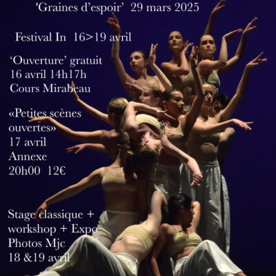 festivaldedansesnarbonne