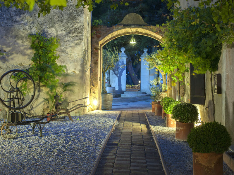 Le Comptoir des vignes au Château le Bouïs