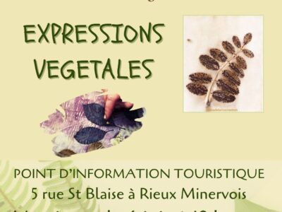 Exposition expressions végétales - Rieux Minervois