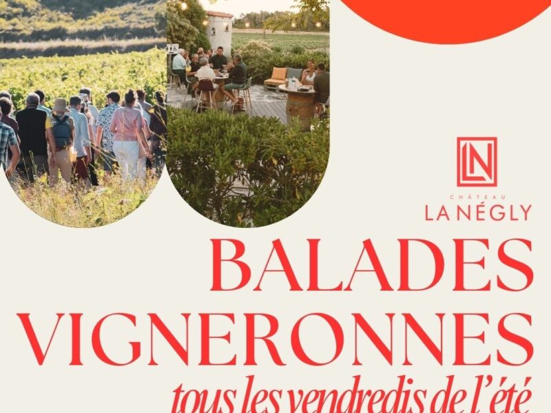 Balades Vigneronnes - Château la Négly