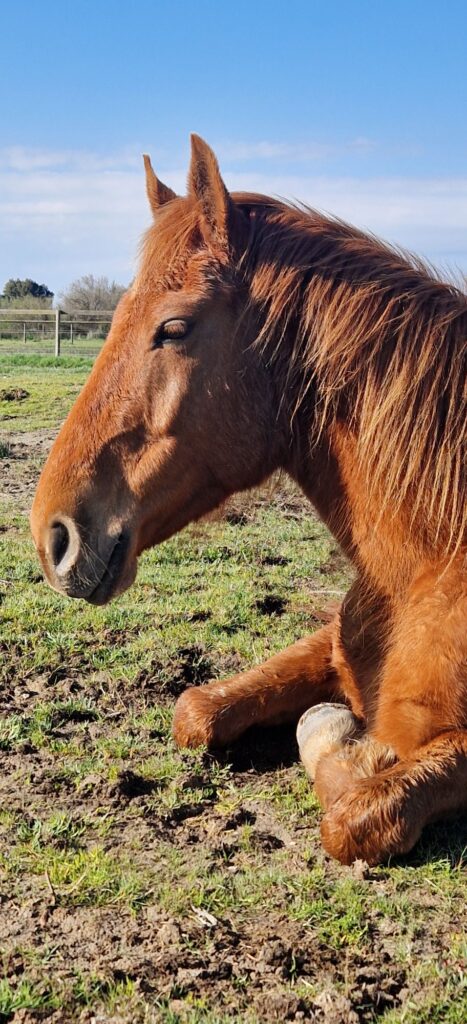 656125463 26193125190371868 92809138619604504 n