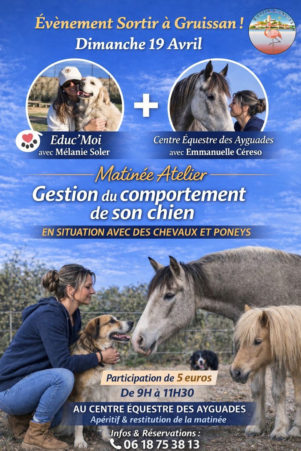 Matinée atelier : gestion du comportement de votre chien en présence de chevaux et poneys.