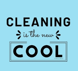 Laetitia Carlier Entreprise Nettoyage Narbonne