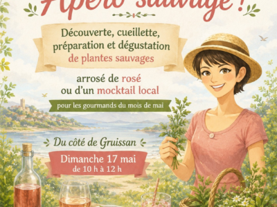 Sortie nature avec dégustation de plantes sauvages